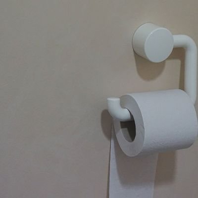 Wall Mounted Toilet Paper Holder