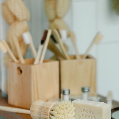 Bamboo Body Brush & Soap Set